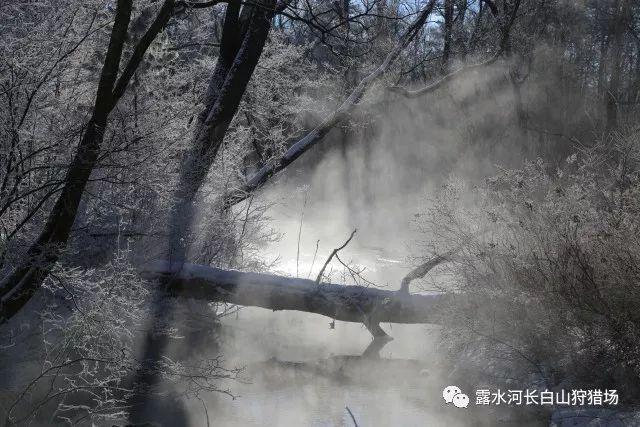 再次愚弄