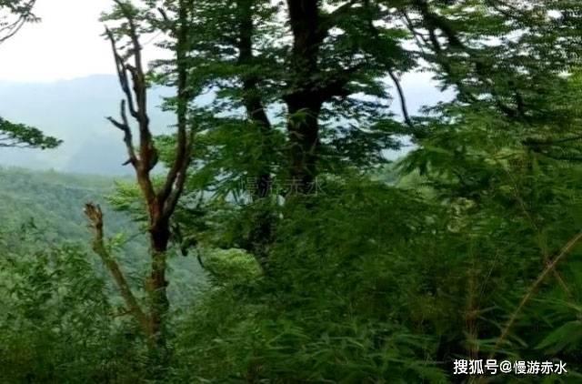 三国如龙传