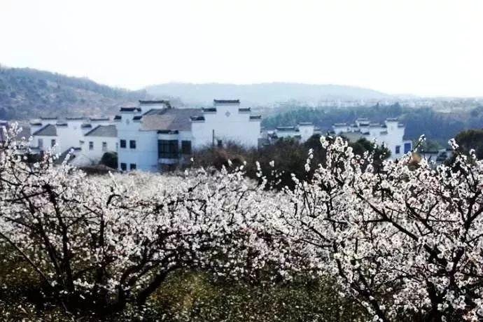 困扰多年的用水难题解决了
