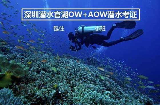 光明记忆